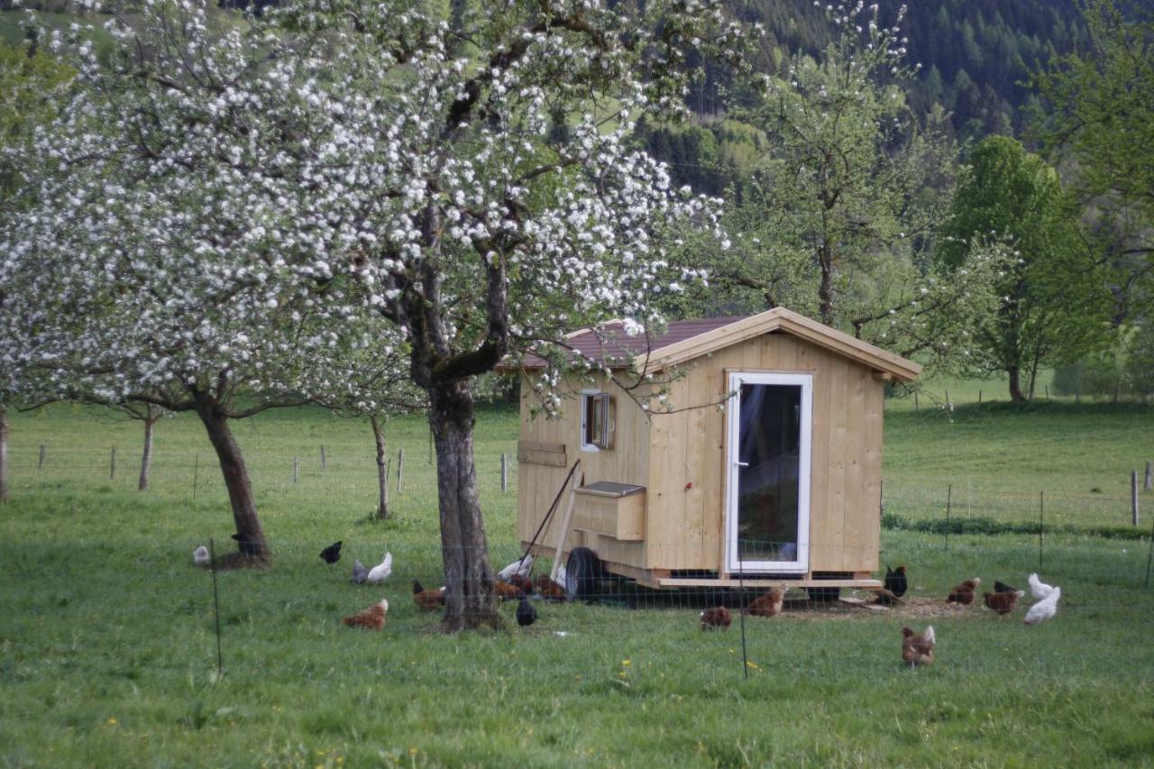 Ferienwohnung Biobauernhof Jagglhof Saalfelden Exterior foto